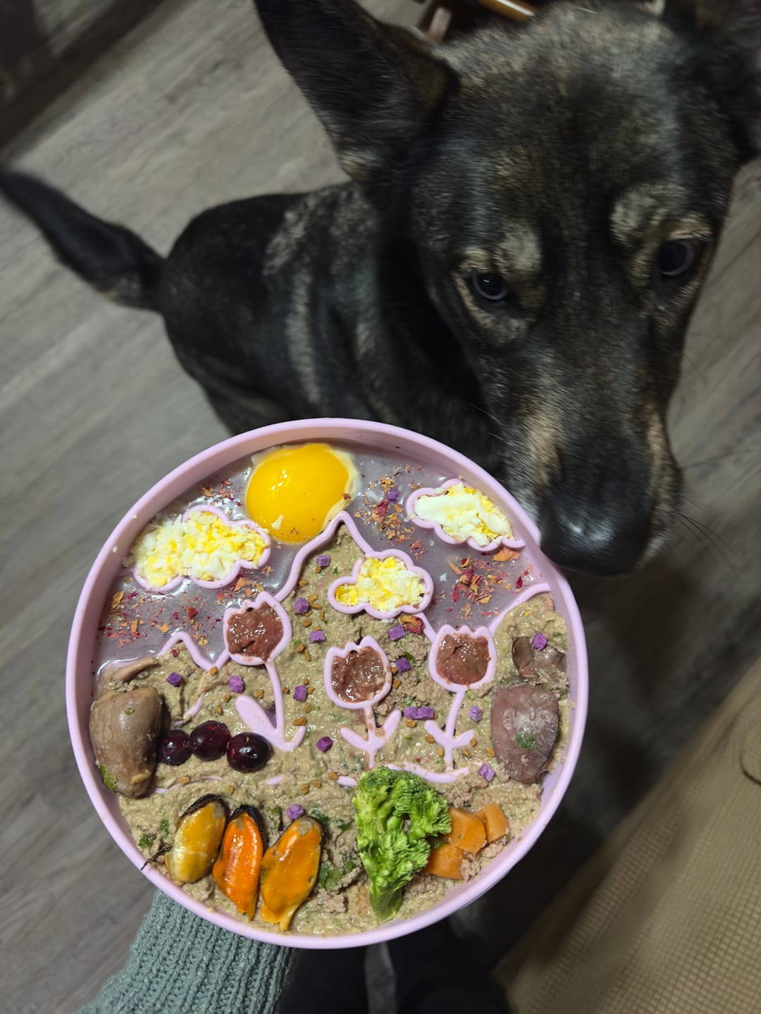 Customer photo review of "The Meadow" Lickmat Slow Feeder