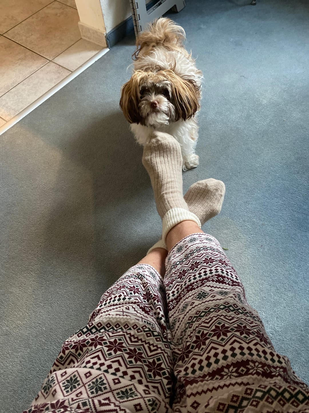 Customer photo review of Alpaka Umschlagsocken