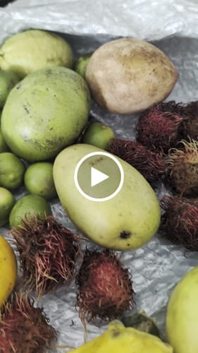 Customer video review of Tropical Variety Box