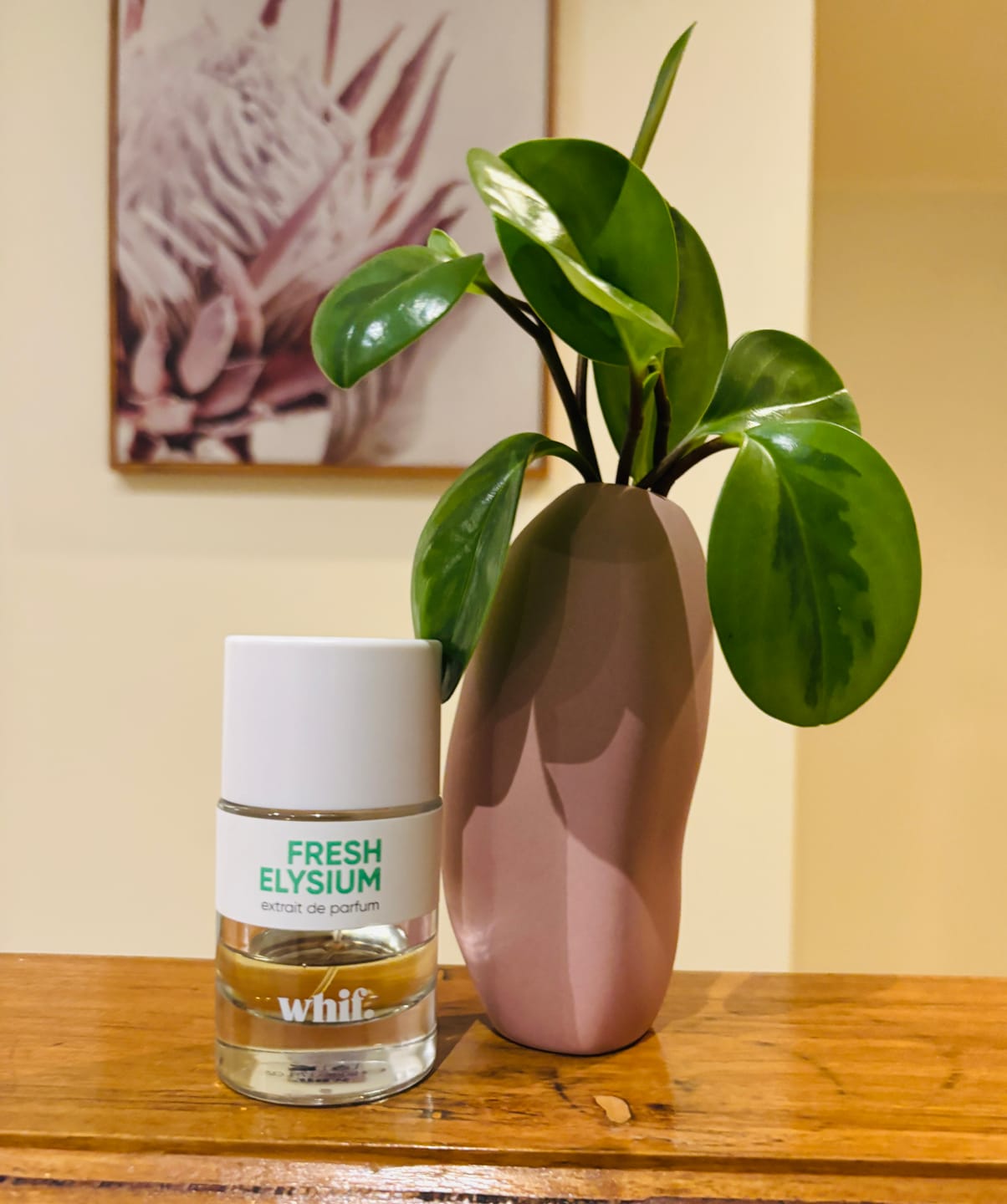 Customer photo review of Fresh Elysium