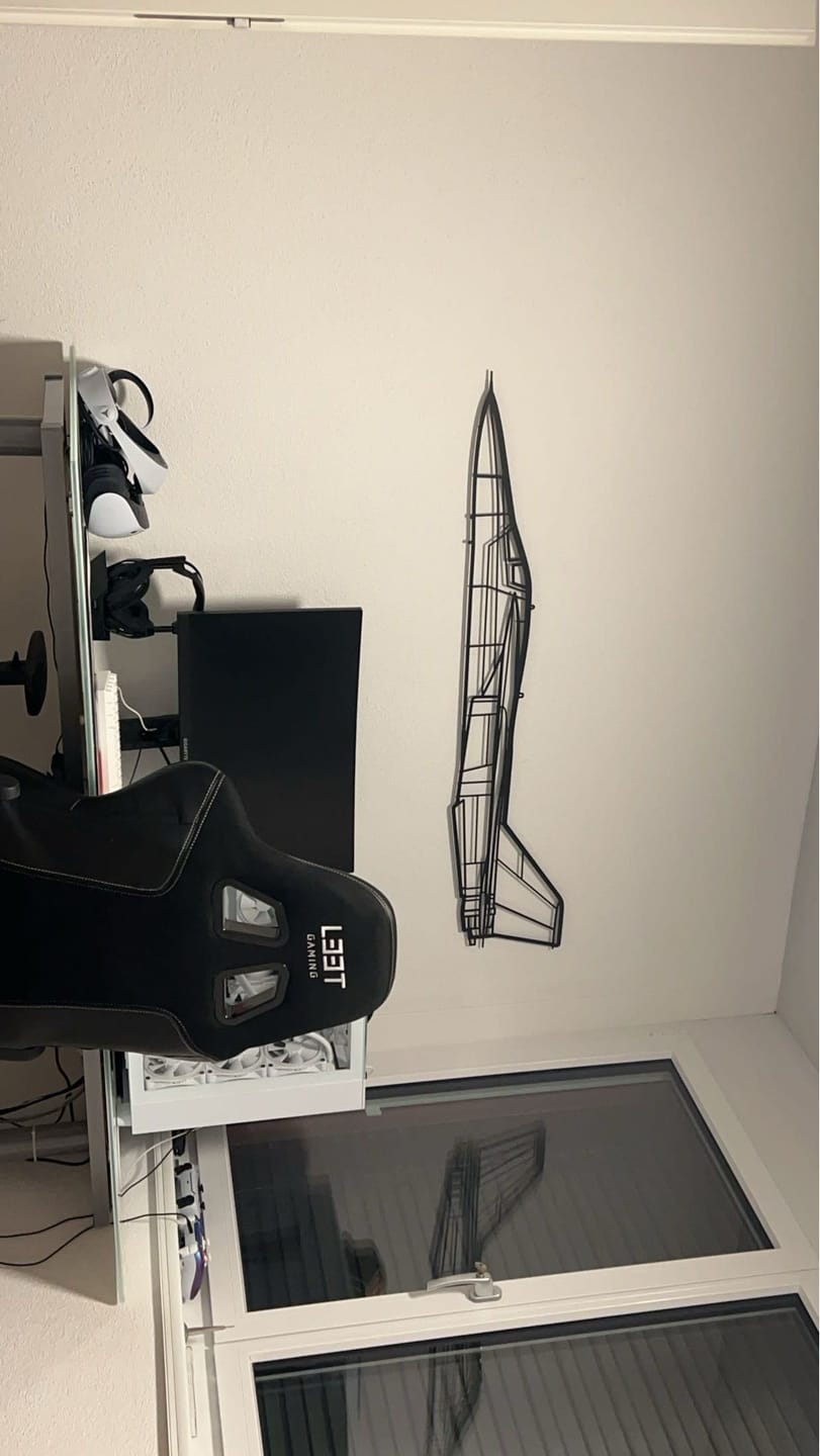 Customer photo review of F-111E Aardvark Silhouette Metal Wall Art