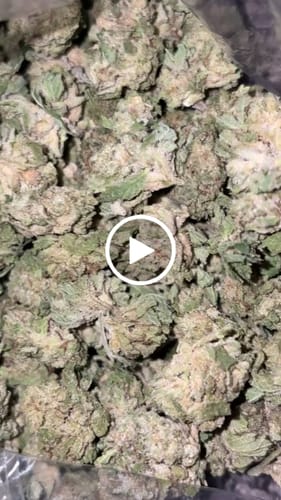 Customer video review of Shipping Protection by Route