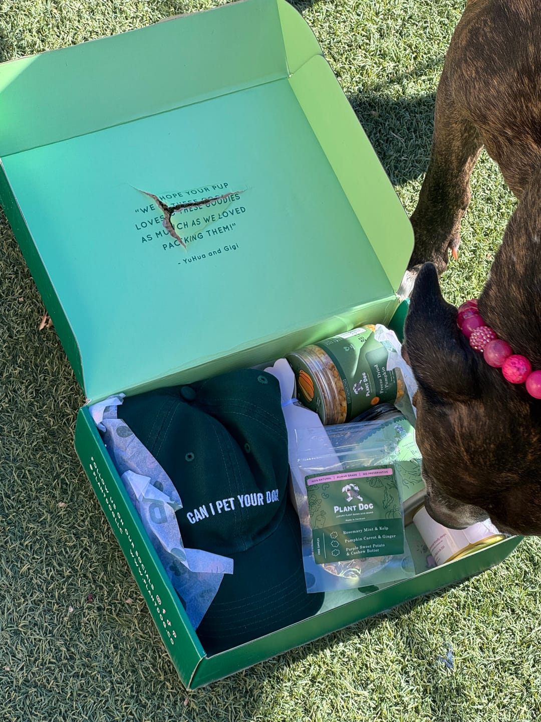 Customer photo review of Plant Dog Membership Box