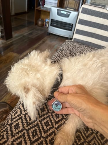 Customer photo review of Placa Azul Mix