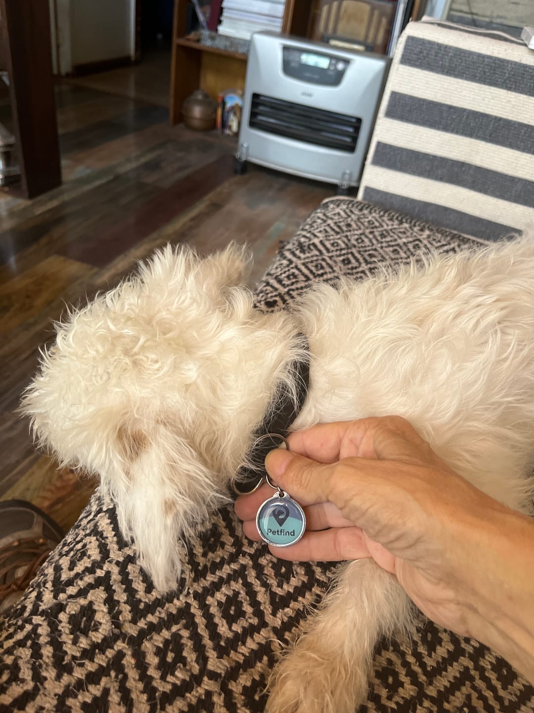 Customer photo review of Placa Azul Mix