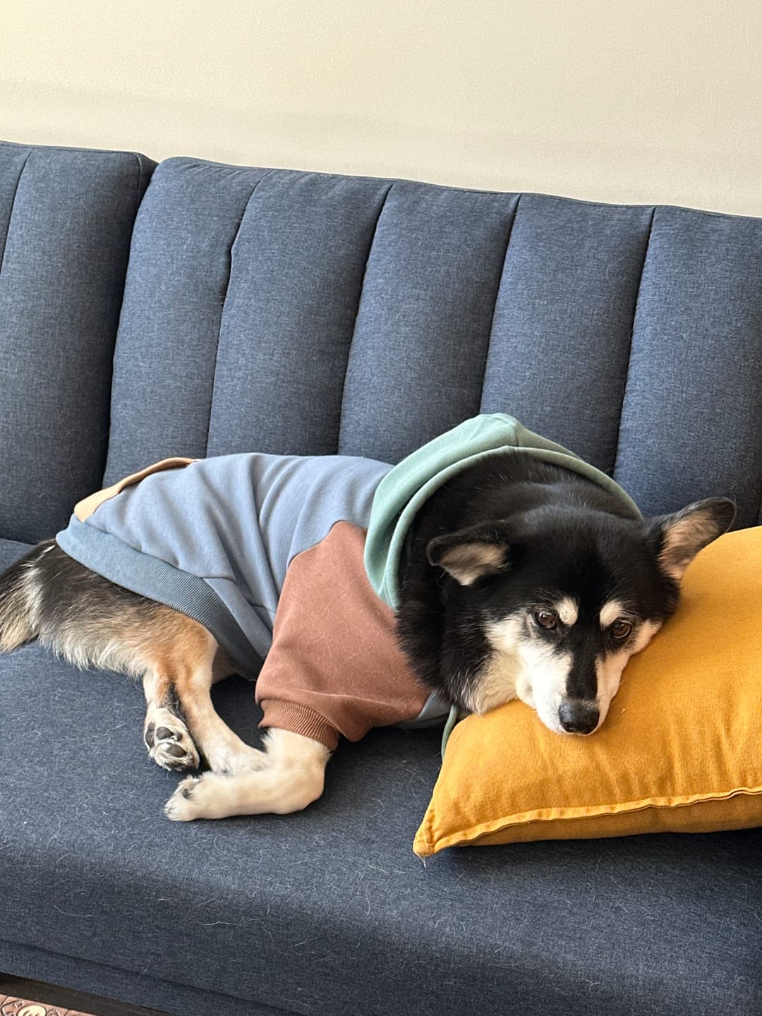 Customer photo review of Alpine Human Hoodie
