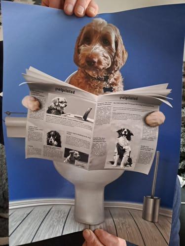 Customer photo review of Prio+