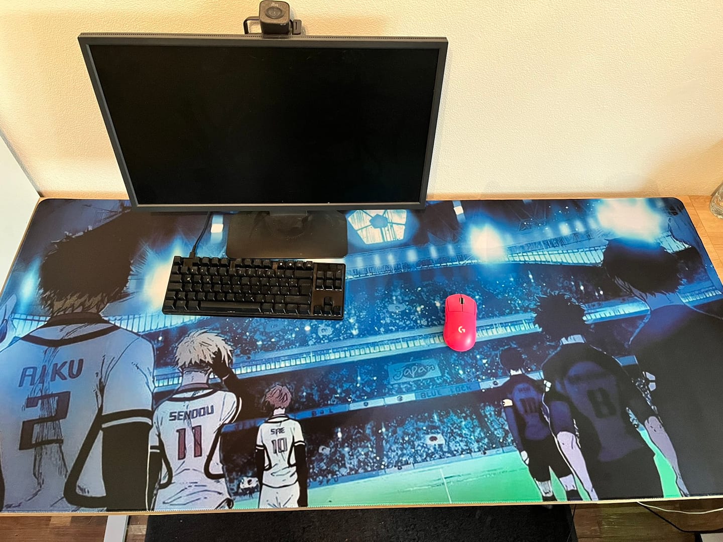 Customer photo review of Customizable Mousepad