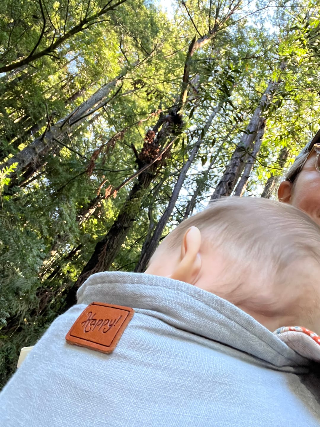 Customer photo review of Toddler Onbuhimo