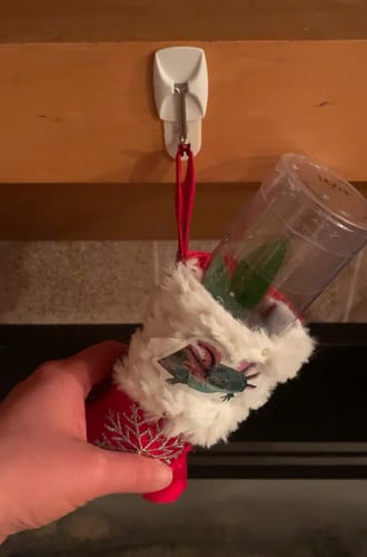 Customer photo review of Custom Pet Art Kiss-Cut Stickers