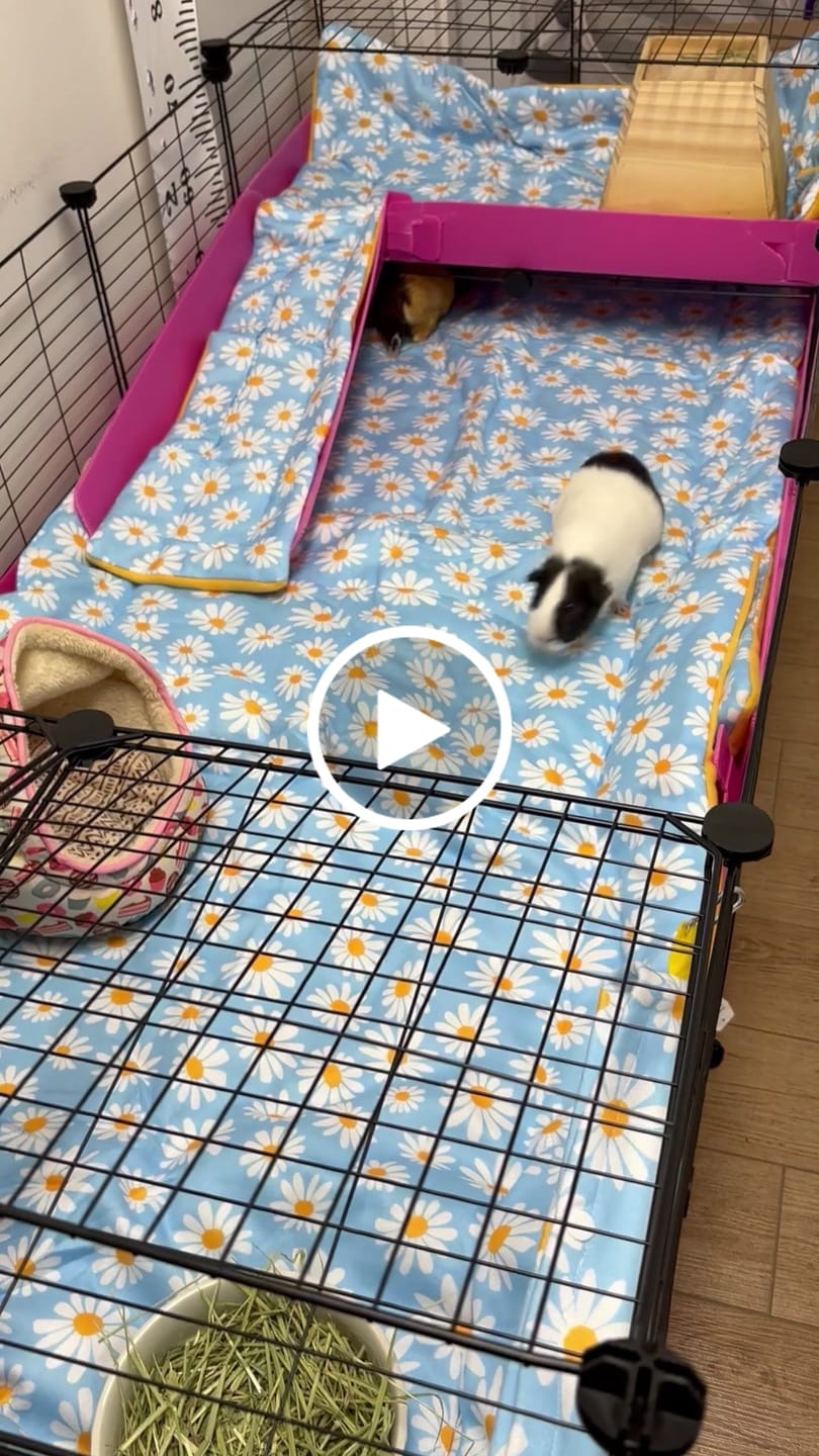 Customer video review of Set of 2 Fleece Liners | Daisy