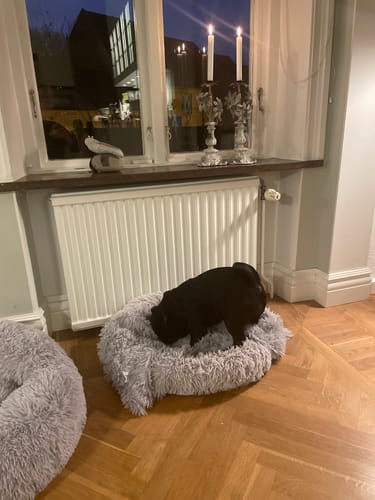 Customer photo review of CalmBlanket