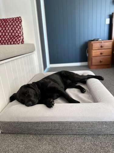 Customer photo review of Orthopaedic Memory Foam Bed