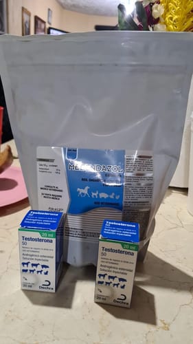 Customer photo review of Testosterona 50