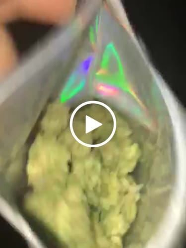 Customer video review of Shipping Protection by Route