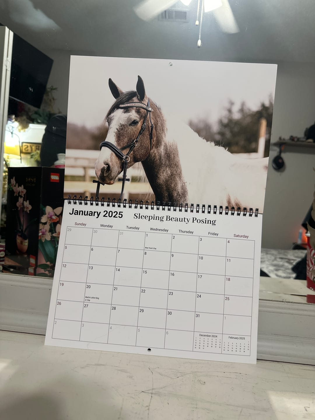Customer photo review of Free Spirit Equestrian 2025 Calendar