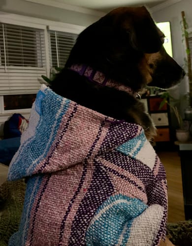 Customer photo review of Free & Easy Return or Exchange Coverage + Package Protection