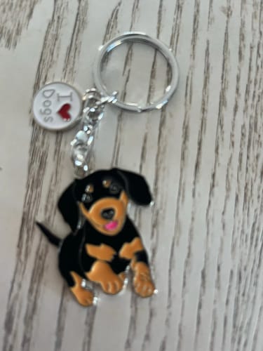 Customer photo review of Dachshund Keychain - Cute Sausage Dog Keyring with Heart Charm - Two Stylish Options