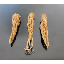 Customer photo review of Guardian spirit for a whole house protection very potent