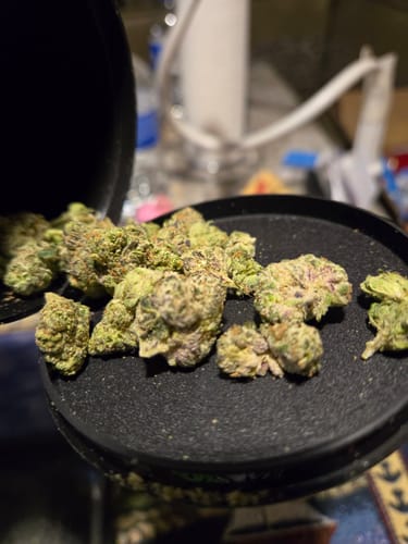 Customer photo review of Exotic Smalls