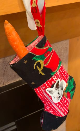 Customer photo review of Custom Pet Art Kiss-Cut Stickers