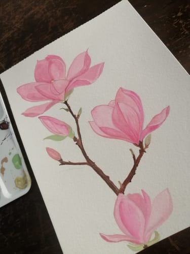 Customer photo review of Himi - Set 48 Gouache Potes 12 g