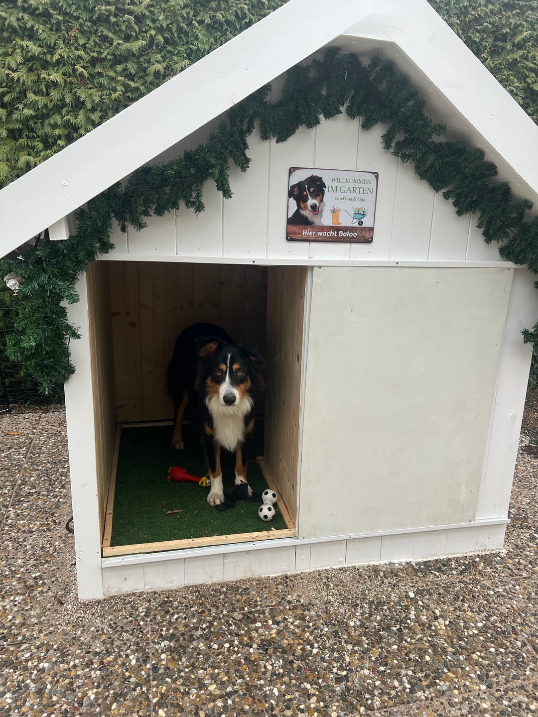 Customer photo review of Hunde Garten-Schild personalisiert mit Foto & Text (UV- und wetterfest)