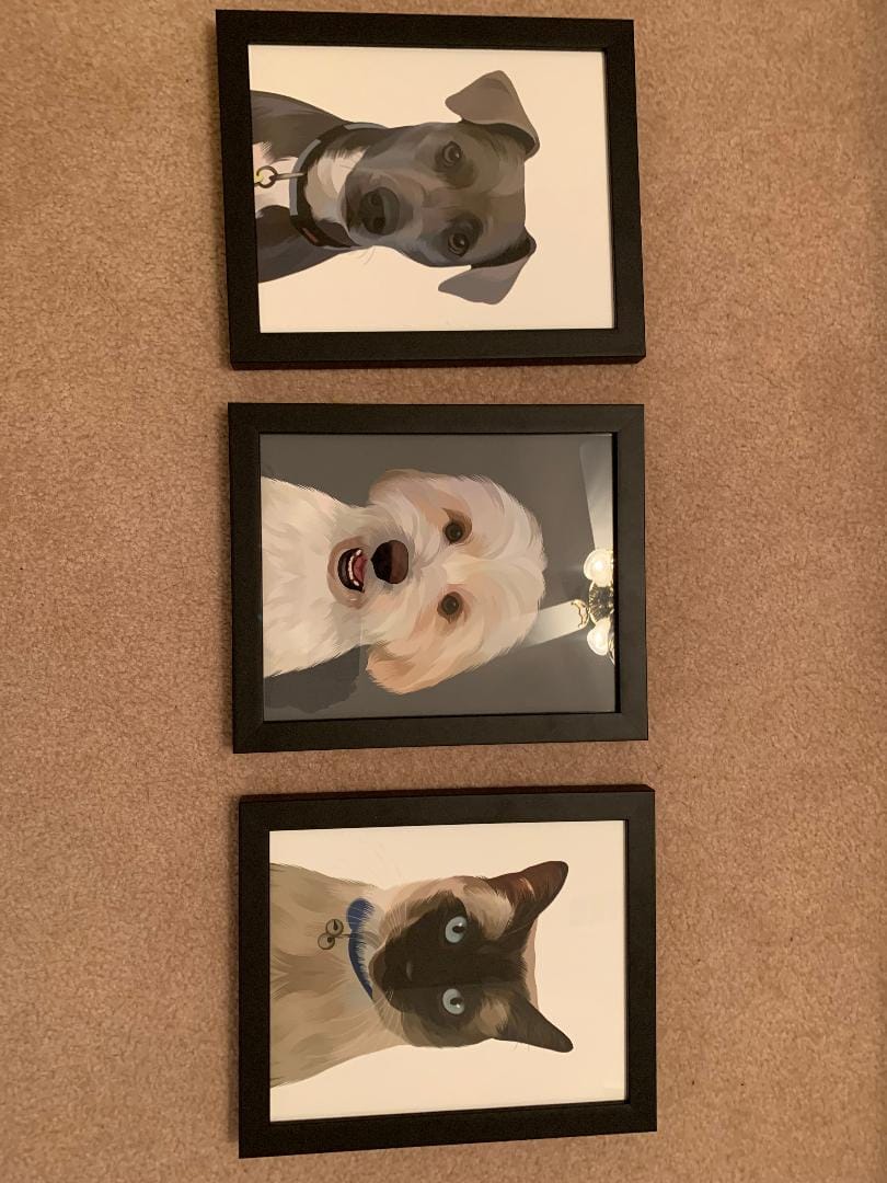 Customer photo review of Custom Pet Portrait (Framed)
