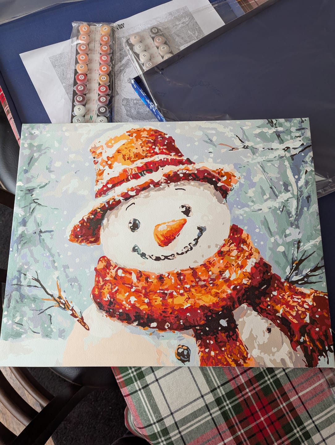 Customer photo review of Mr. Snowman
