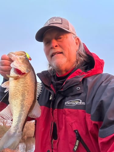Customer photo review of Beyond Fluorocarbon Leader Material 50YD - Pink Or Clear