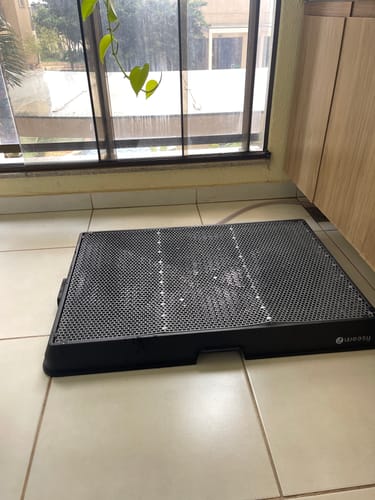 Customer photo review of Weasy Cão