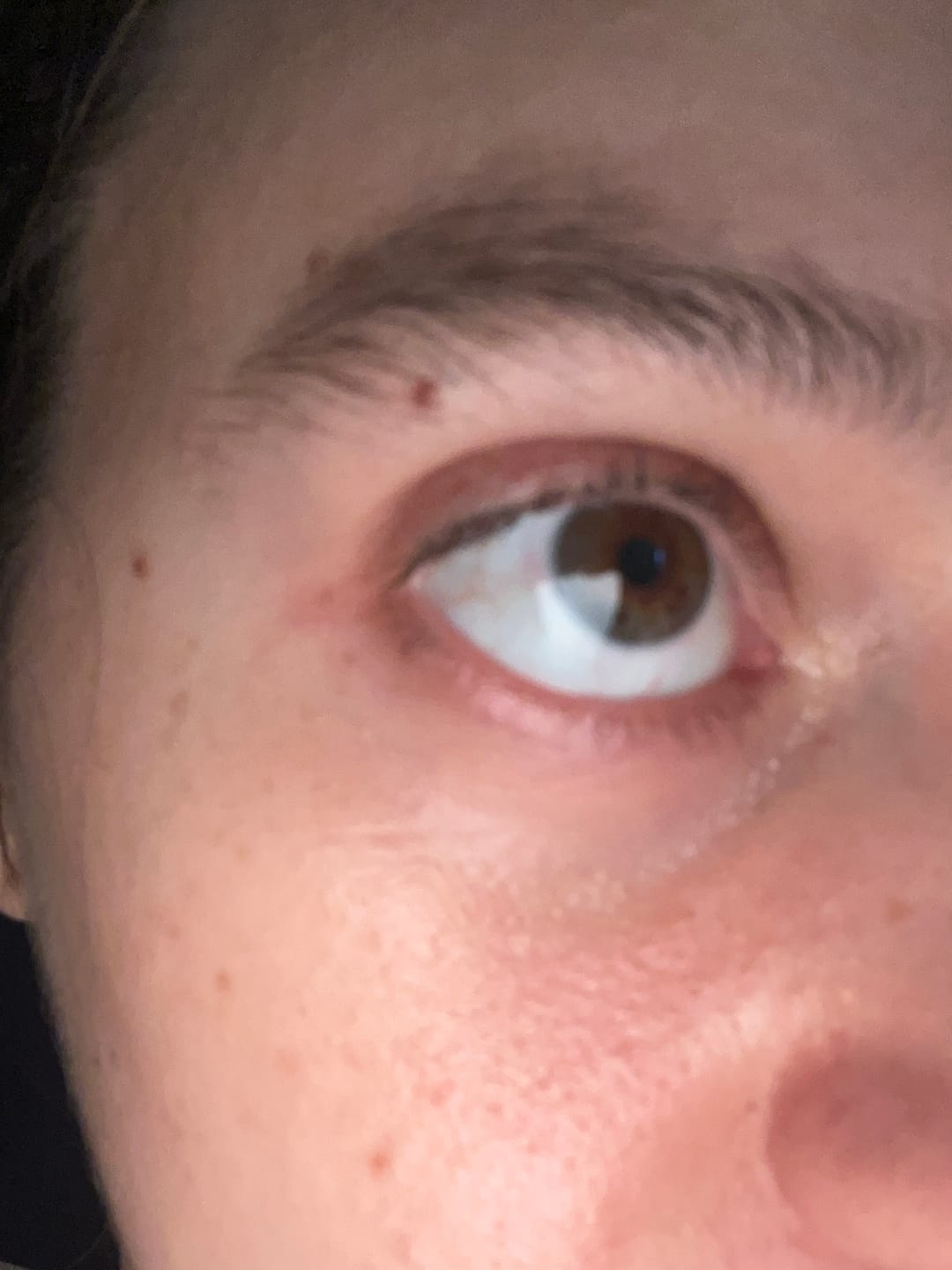 Customer photo review of Elfie Brown Colored Contact Lenses