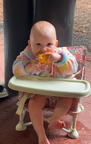 Customer photo review of Paloma baby chair v2