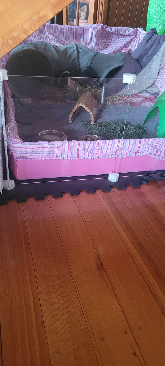 Customer photo review of Clear Panel Pack - Ozzy Cages