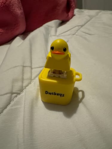 Customer photo review of Quackey - Fidget Toy that Quacks!