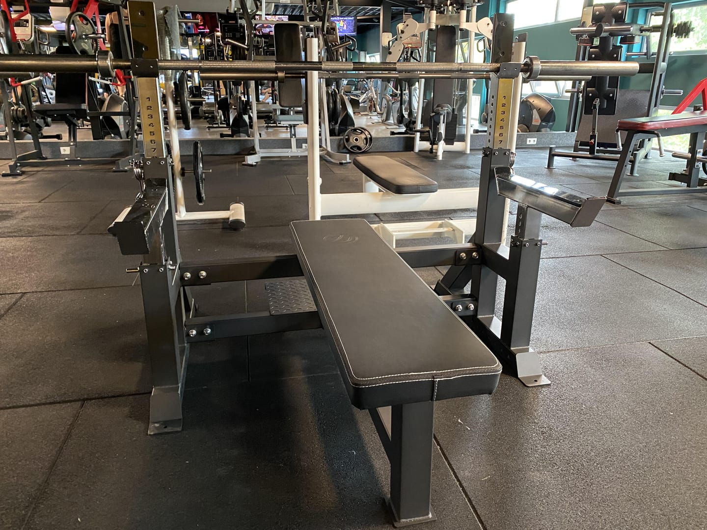 Customer photo review of Deluxe Competition Style Bench