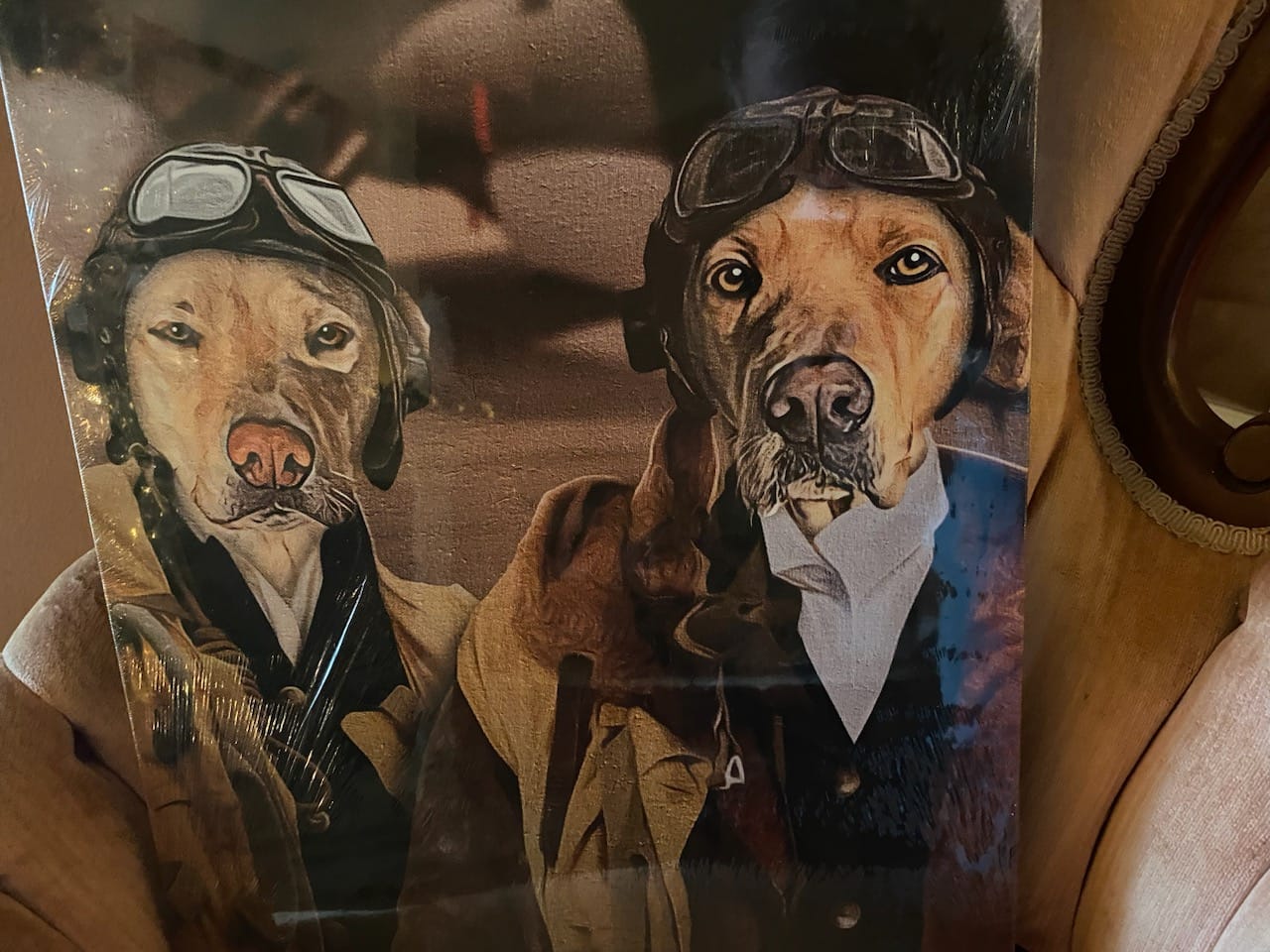 Customer photo review of The Duo Pilots Custom Pet Portrait