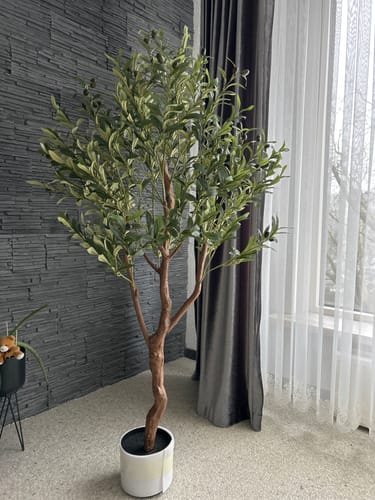 Customer photo review of Kunst Olijfboom 150cm