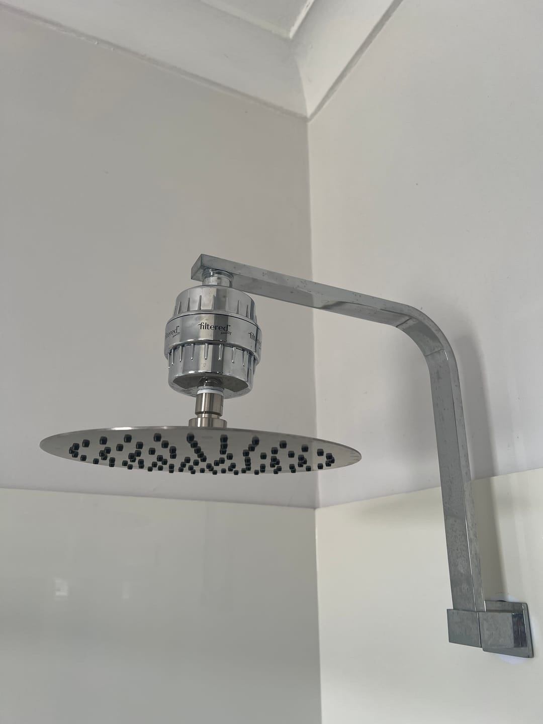 Customer photo review of Shower Purifier - Silver