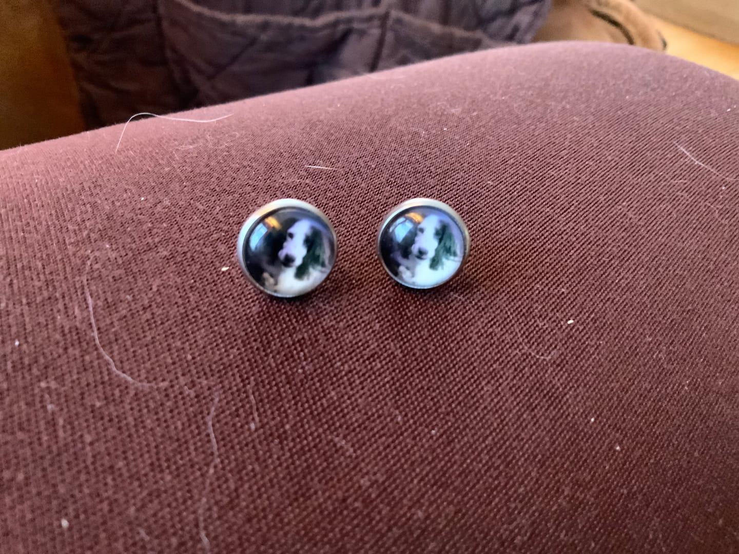 Customer photo review of Live Customization Glass Pet Stud Earrings