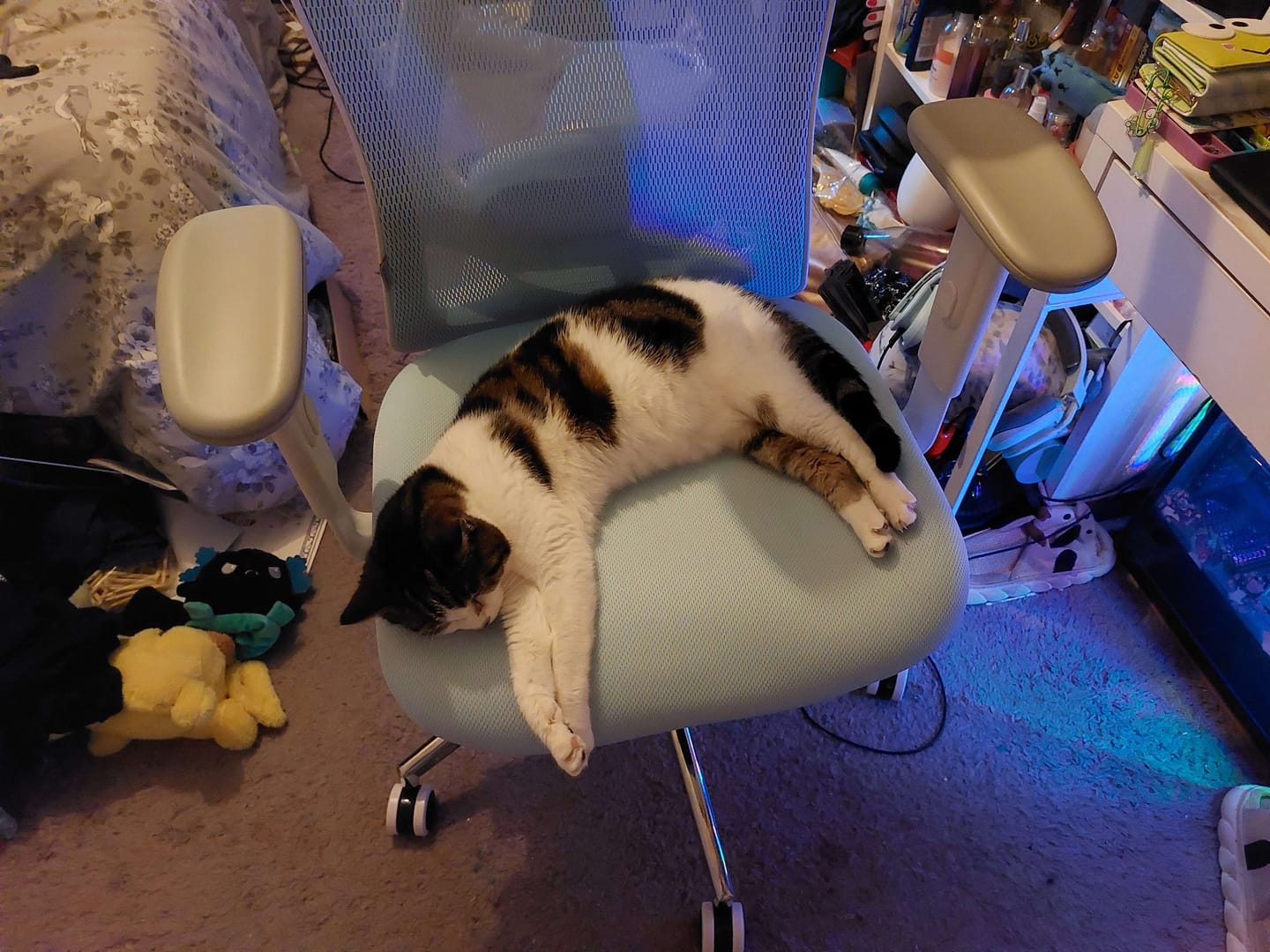 Customer photo review of M18 Classic Office Chair