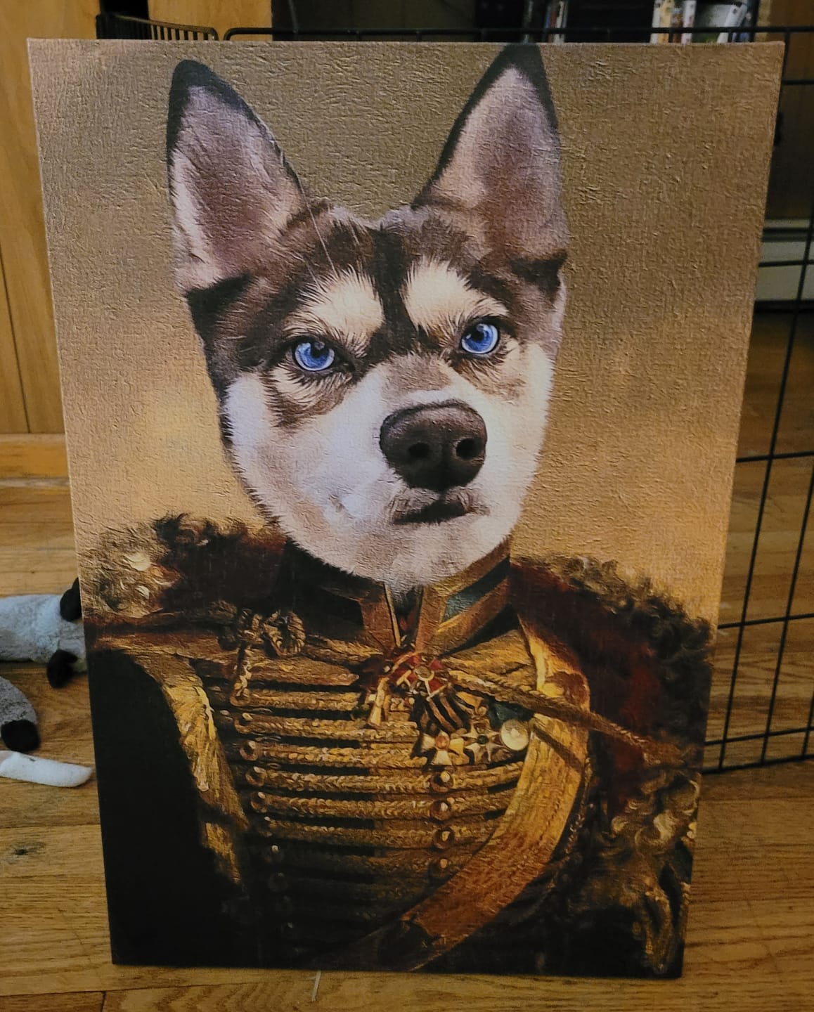 Customer photo review of The Noble General Custom Pet Portrait
