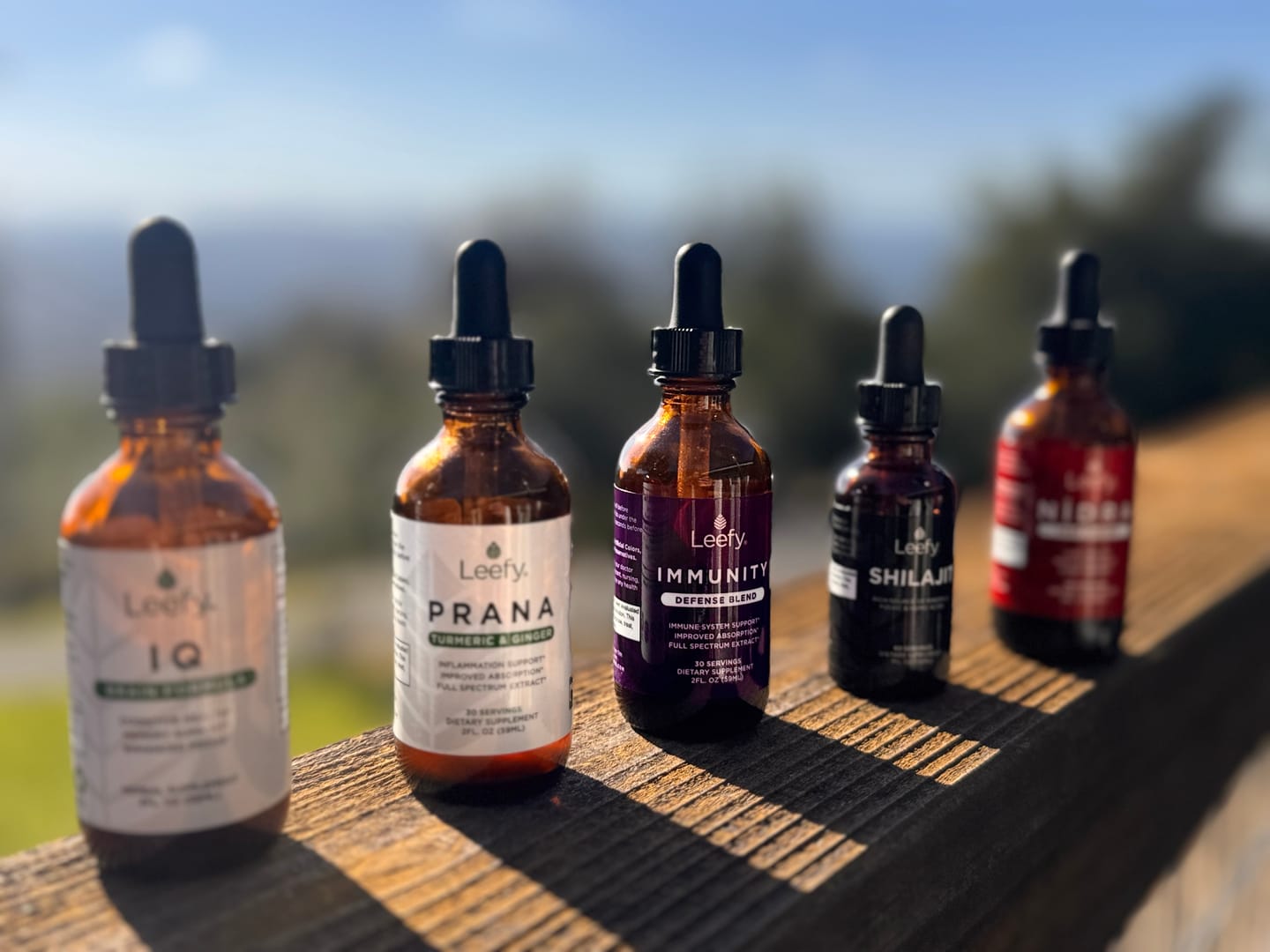 Customer photo review of THE FOUR BUNDLE
