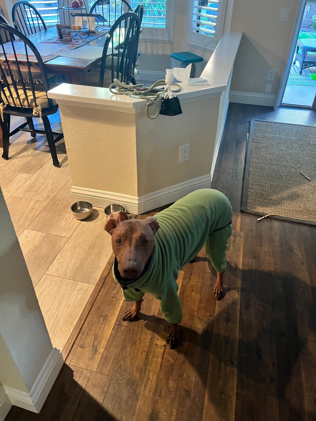 Customer photo review of NEW Fleece Pull-Over