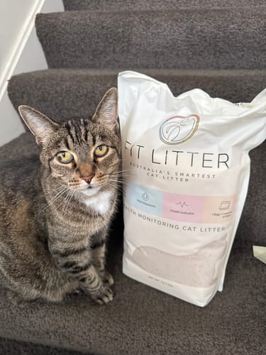 Customer photo review of 3 Month Supply - 1 Cat