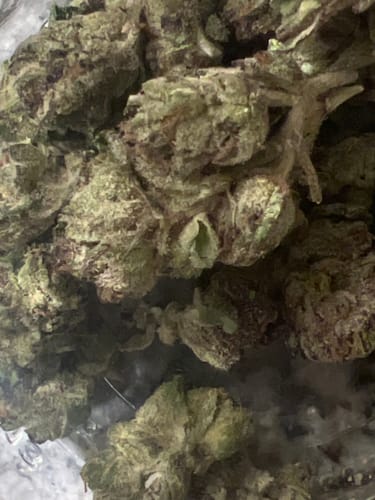 Customer photo review of Black Ice