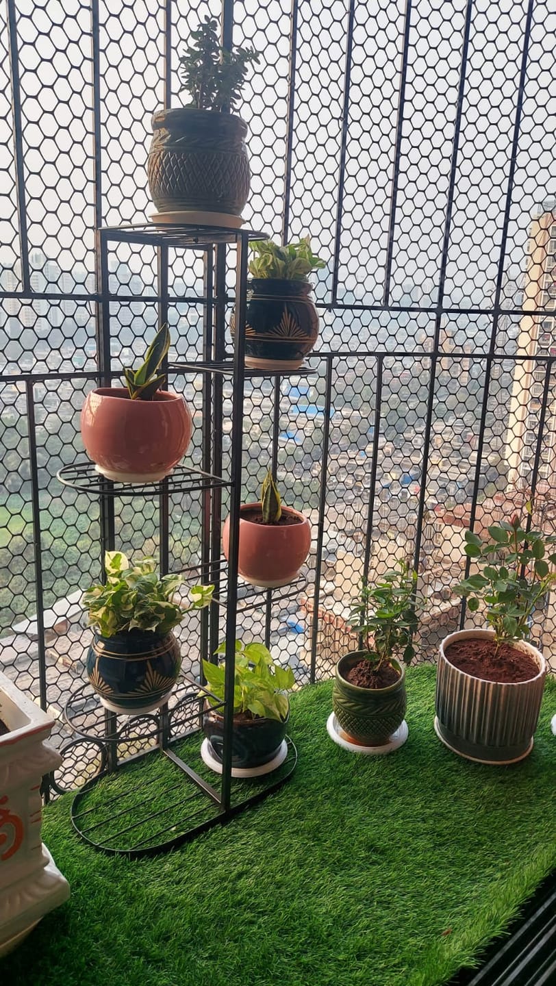 Customer photo review of Plant Stand Metal 6 Tier 7 Potted Multiple Flower Pot Holder Shelf Indoor Outdoor Planter Display Shelving Unit For Patio Garden Corner