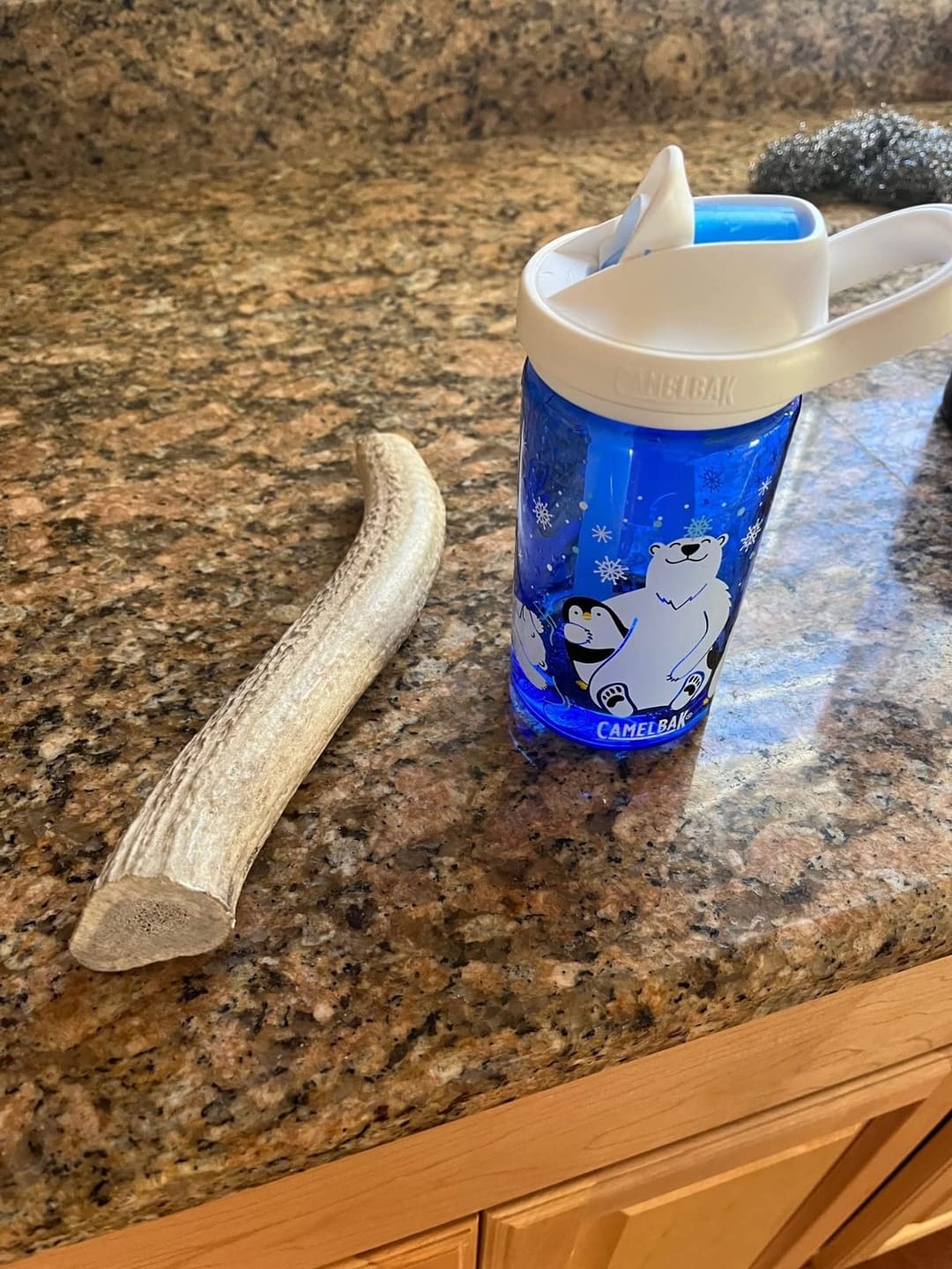 Customer photo review of Whole Elk Antler Chew - Extra Large