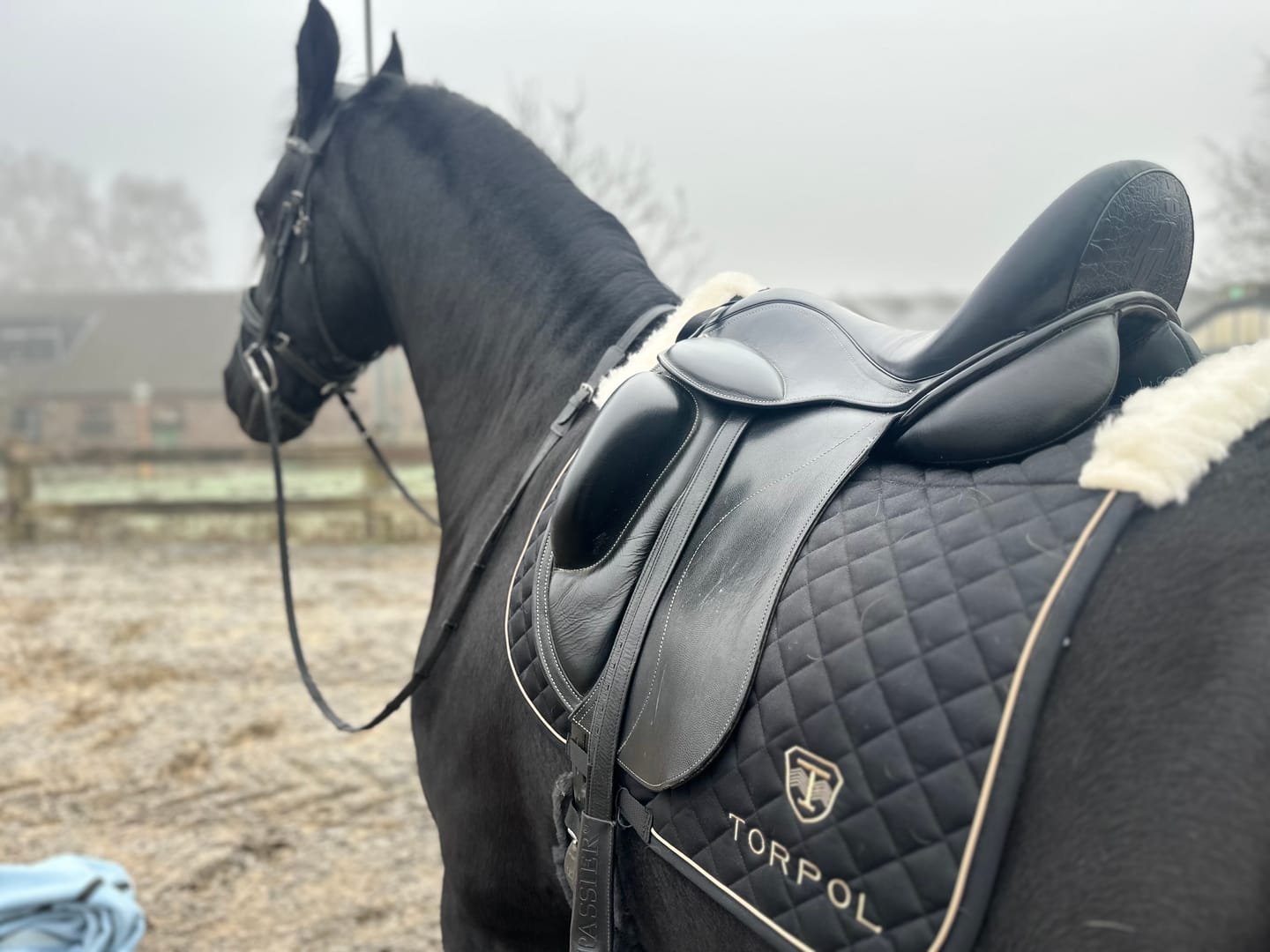Customer photo review of TORPOL® Schabracke EVO Magnetfeld Nelson™ Spring/Dressur