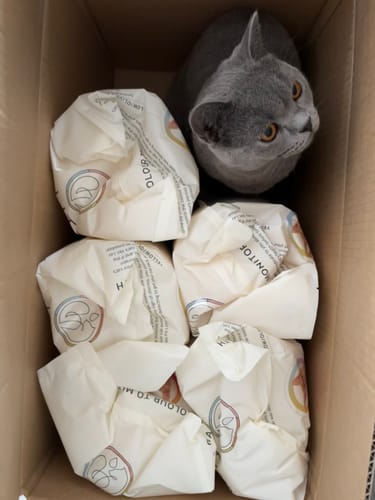 Customer photo review of 3 Month Supply - 2 Cats